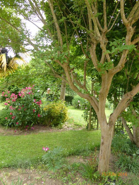 Bed and Breakfast Bedbreakfastbikespyrenees Loubieres Экстерьер фото