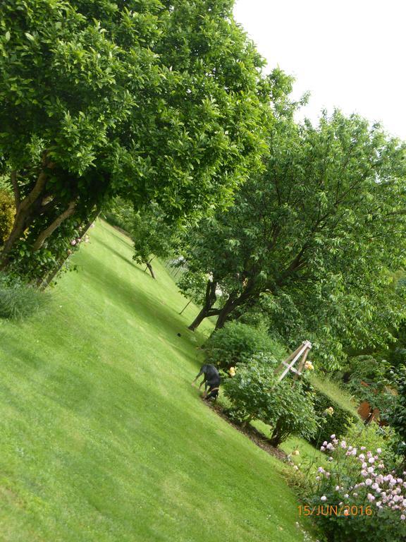 Bed and Breakfast Bedbreakfastbikespyrenees Loubieres Экстерьер фото