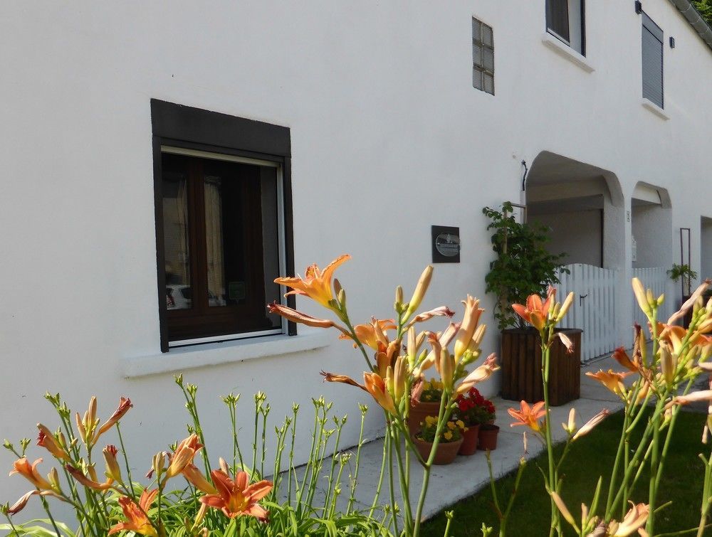 Bed and Breakfast Bedbreakfastbikespyrenees Loubieres Экстерьер фото